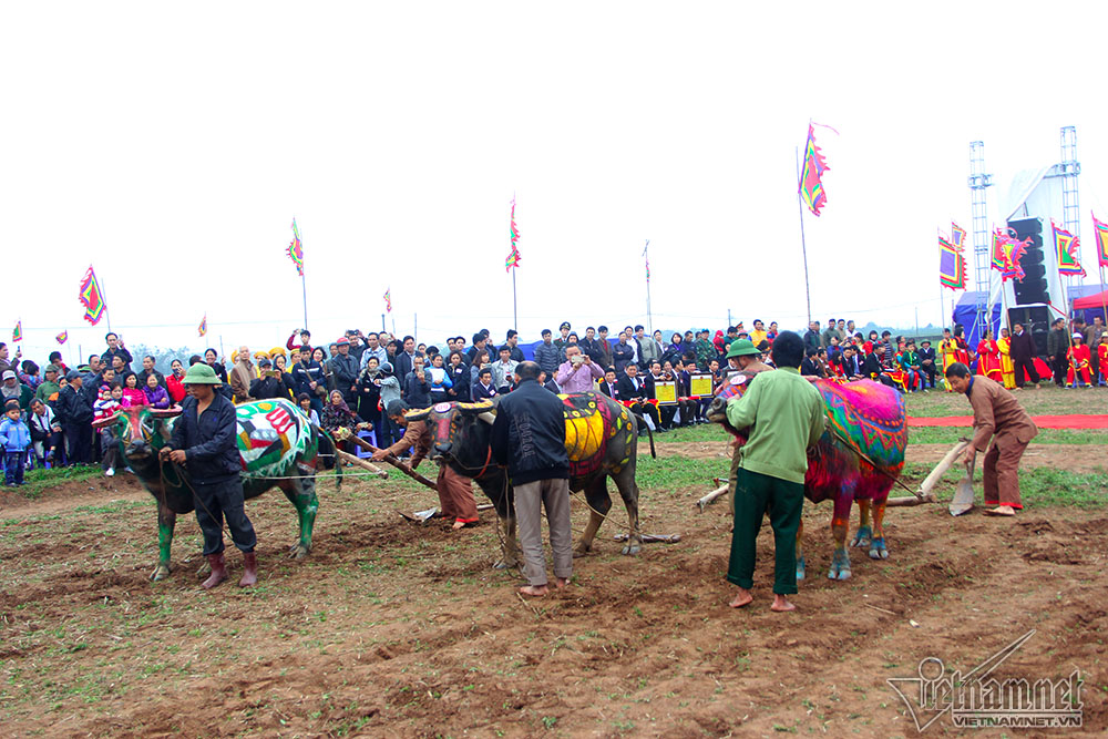 Vua 90 tuổi đi cày đầu năm ở lễ Tịch điền